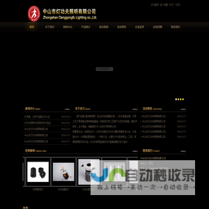 中山市灯功夫照明有限公司